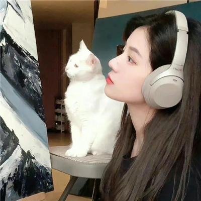 驯马(纪录片)